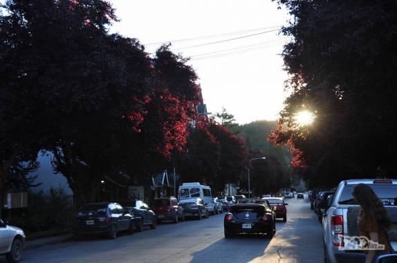 Luz de fim de tarde filtrada por árvores floridas em San Martín de Los Andes, na Argentina